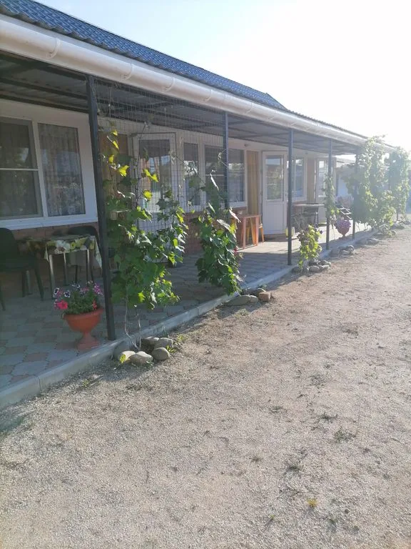 Анютка