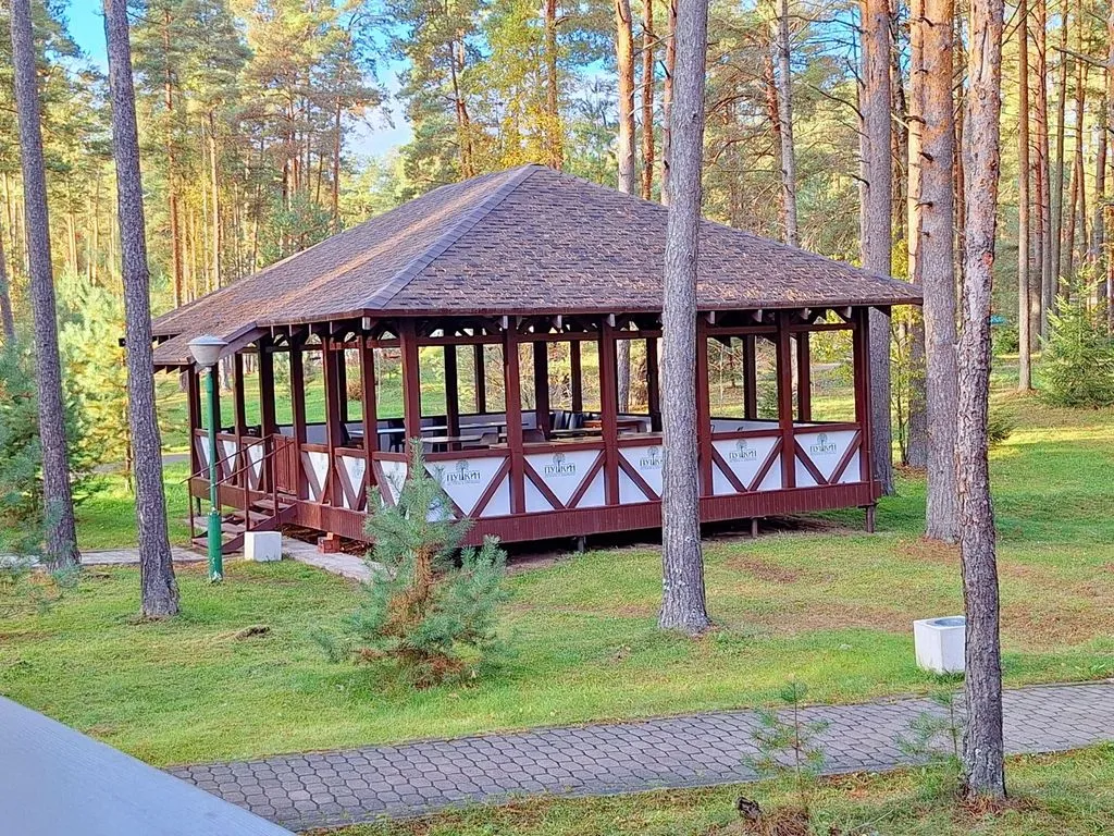 База отдыха «Лукоморье», Псков — фото 15
