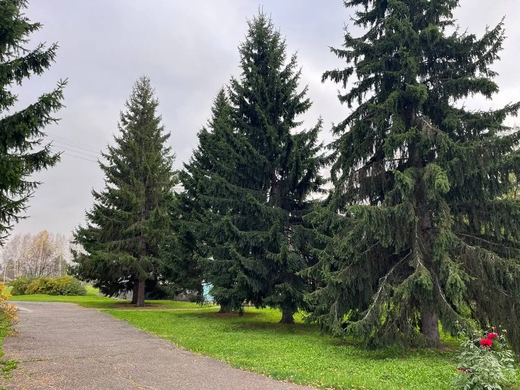 Центр Отдыха Солнечный