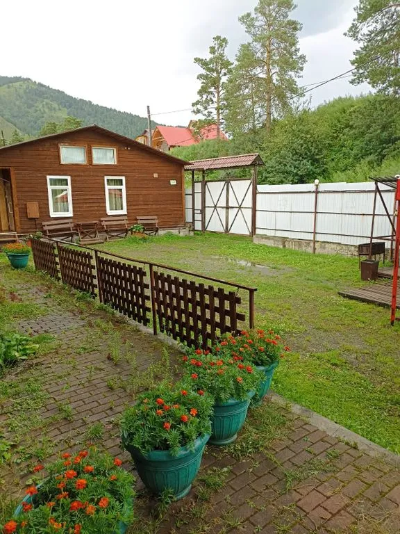 Феникс в Узнезе