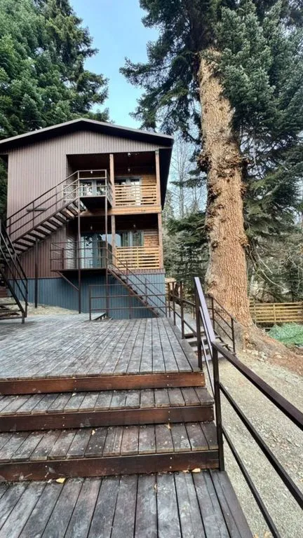 Fairy Fir Eco Retrit