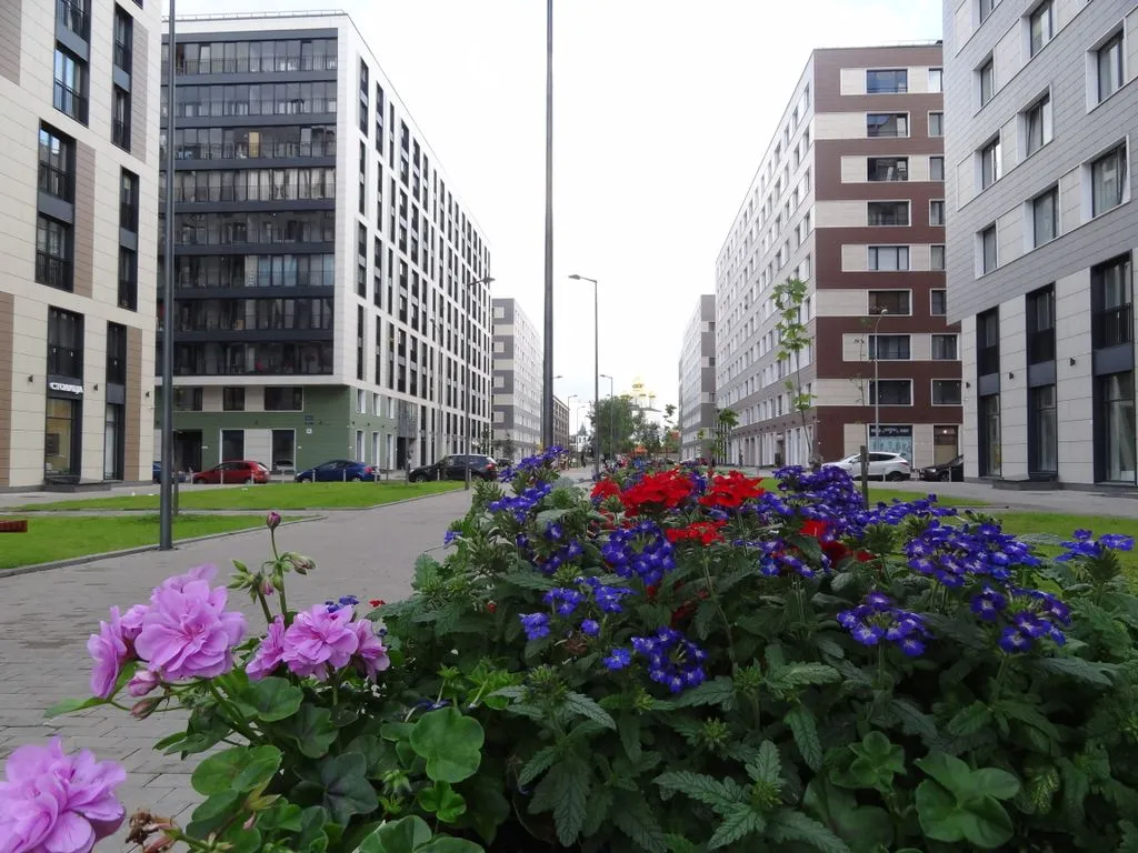 Black dog apartments