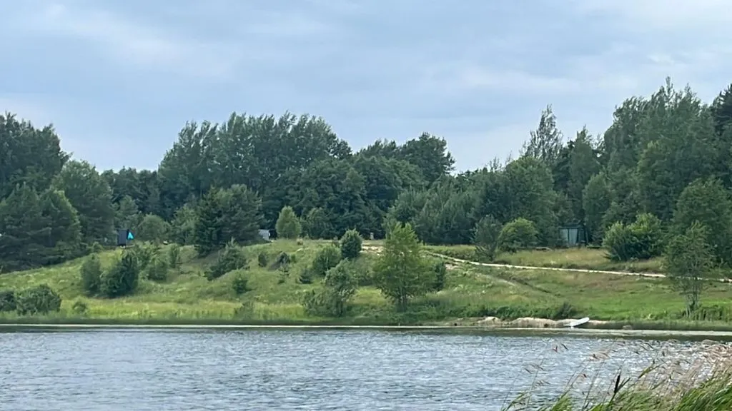 Глэмпинг «Forrest Home», Торошино — фото 13