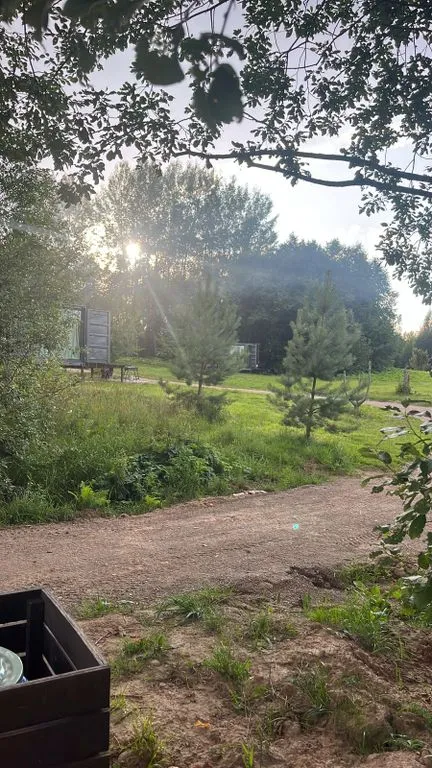 Глэмпинг «Forrest Home», Торошино — фото 15