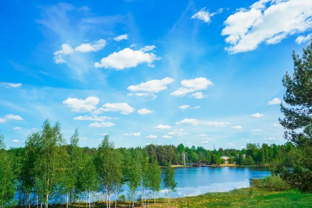 Глэмпинг «Forrest Home», Торошино — фото 17