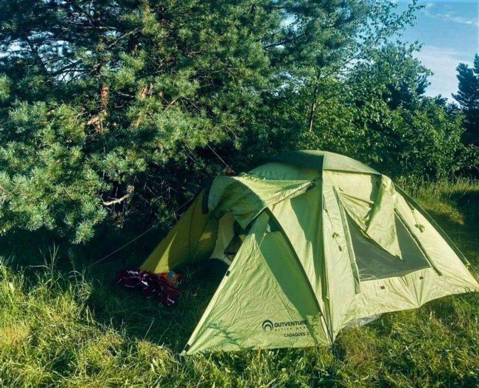 Глэмпинг «Forrest Home», Торошино — фото 19