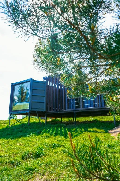 Глэмпинг «Forrest Home», Торошино — фото 25