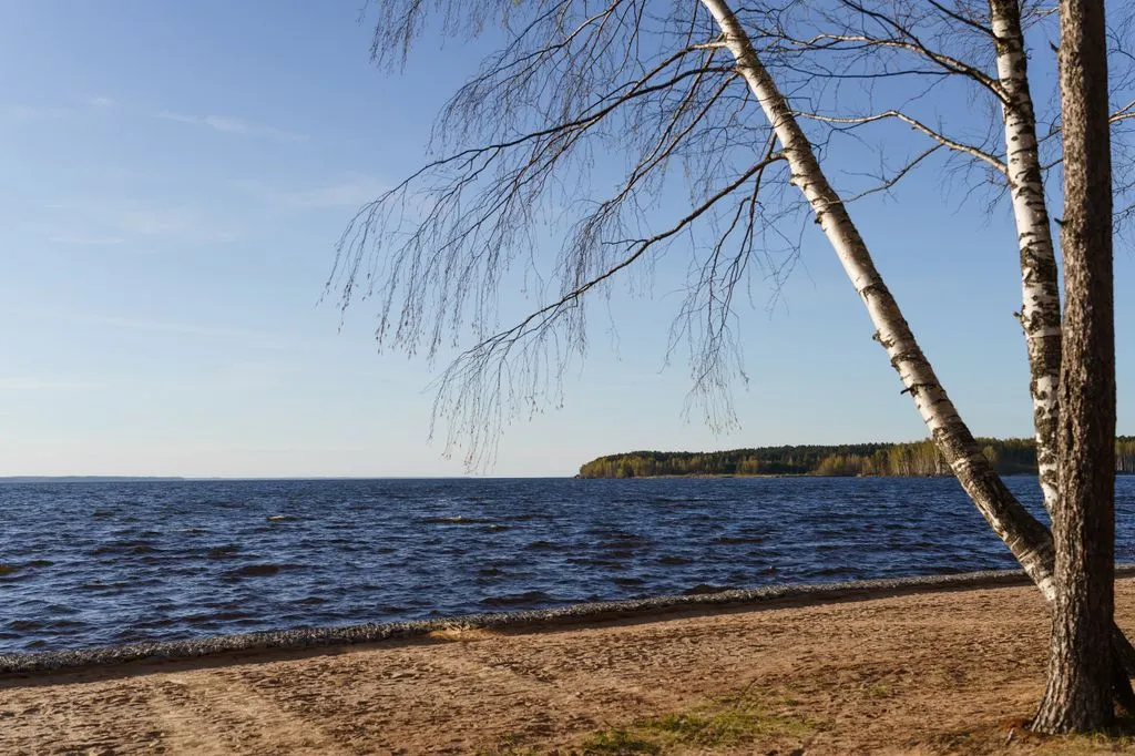 Глэмпинг «Море», Городец — фото 24