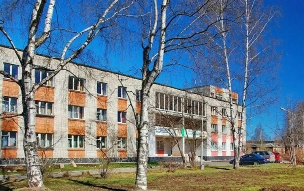 Берёзовая роща