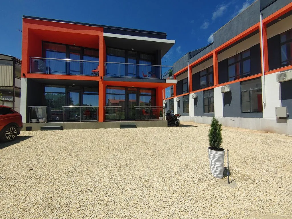 Red fox Рыжий Лис