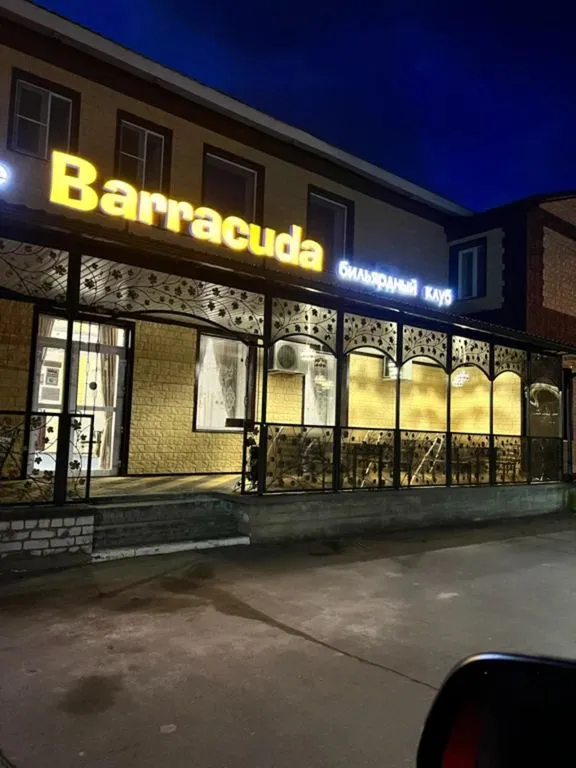 Барракуда