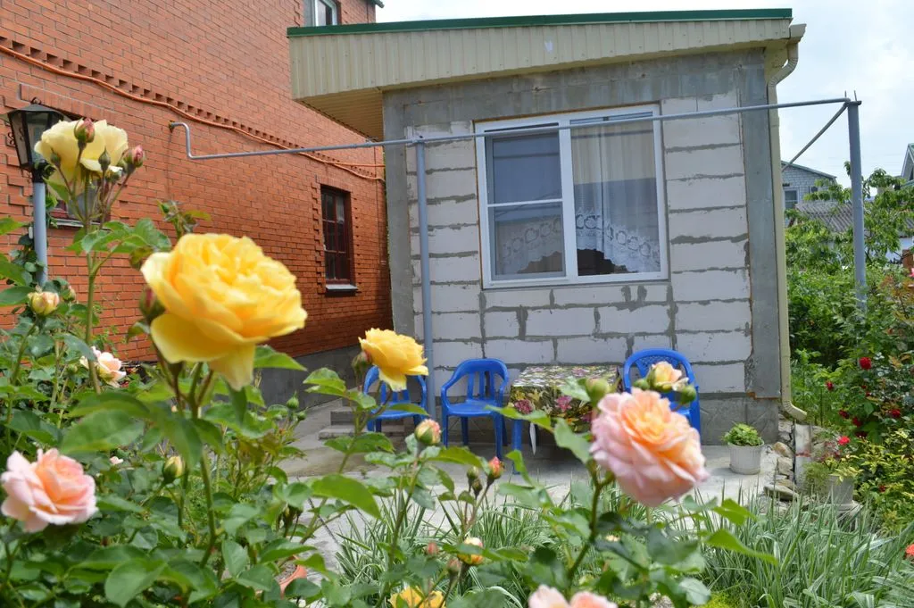 Родничок