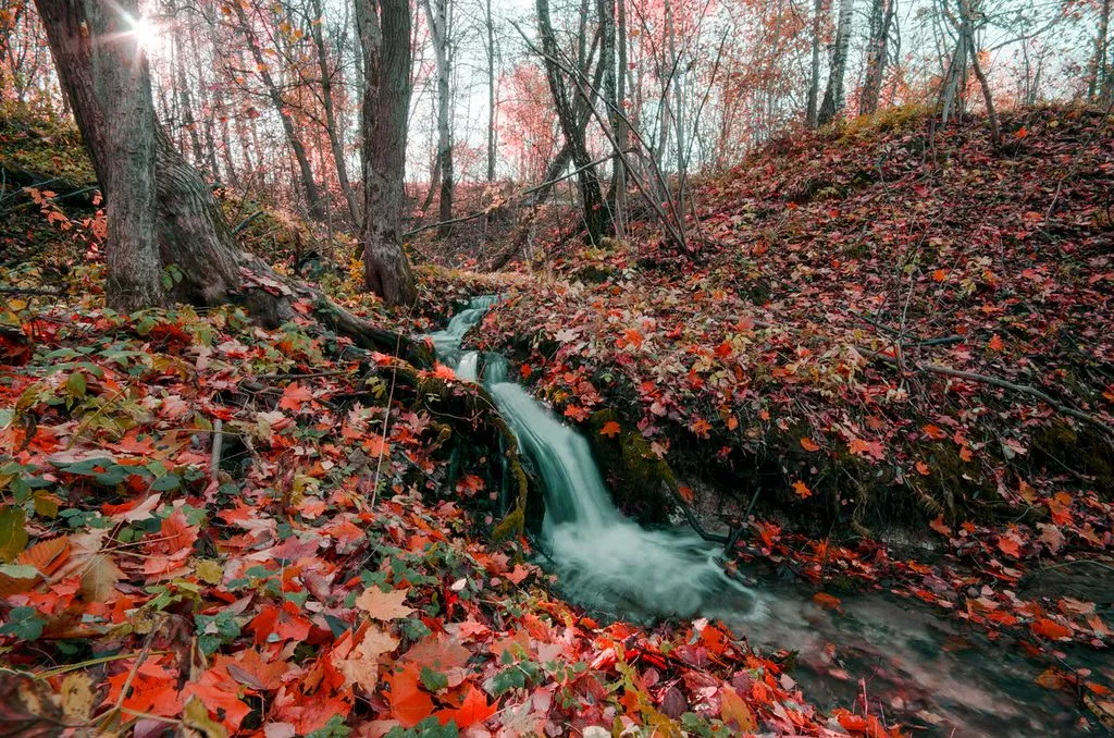 Объект «Dubrava», Волгоград — фото 19