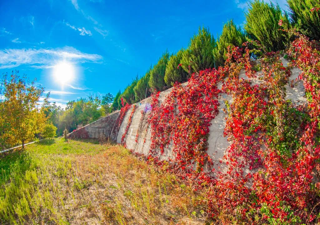 Объект «Dubrava», Волгоград — фото 3