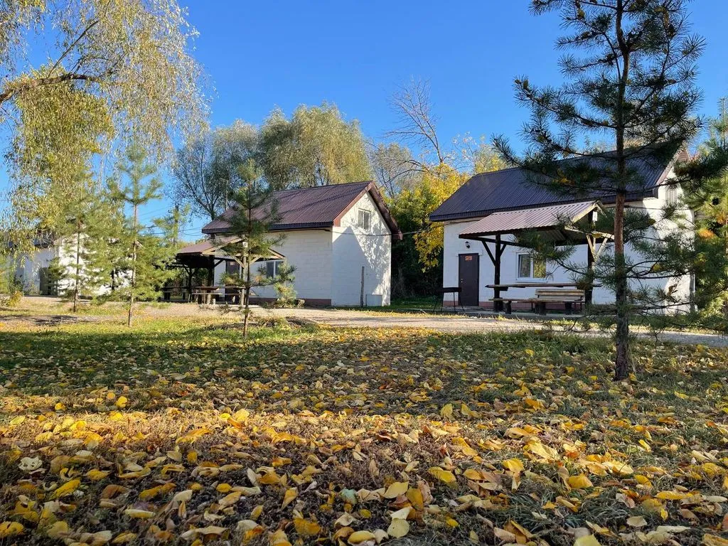 12 месяцев везения