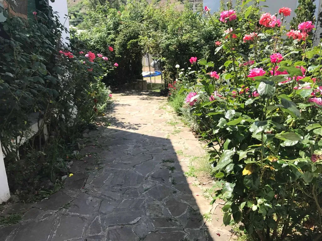 Поповы