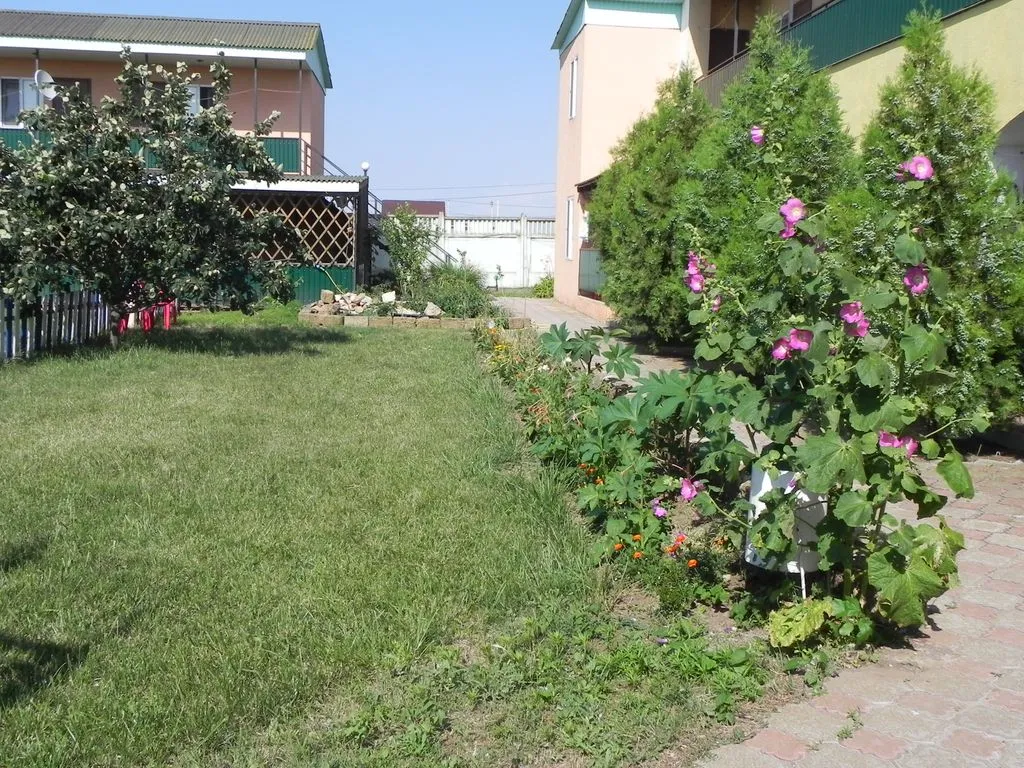 Фанни Вероника