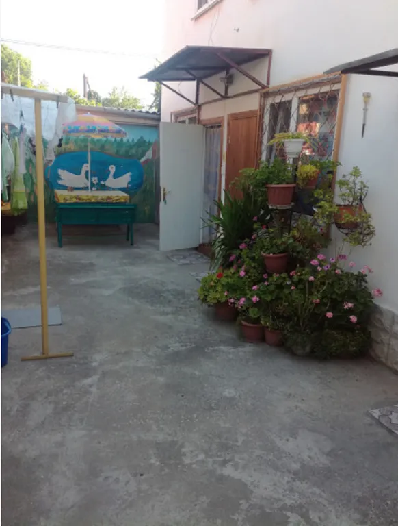 У Франковны