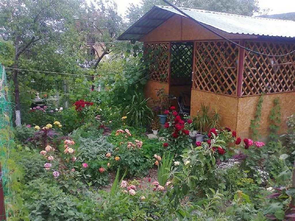 Частный сектор "Фея"