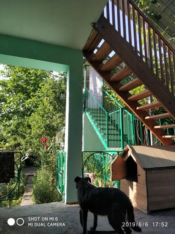 Фото отеля «House Dostoevskogo», 10