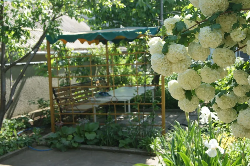 Объект «Secret garden», Коктебель — фото 3