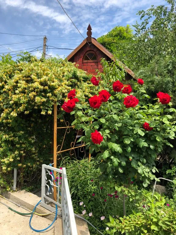 Объект «Secret garden», Коктебель — фото 5