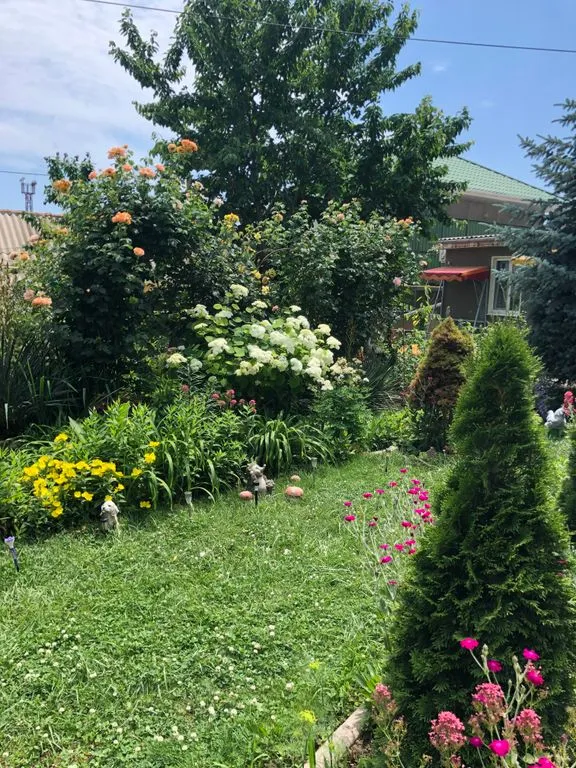 Объект «Secret garden», Коктебель — фото 7