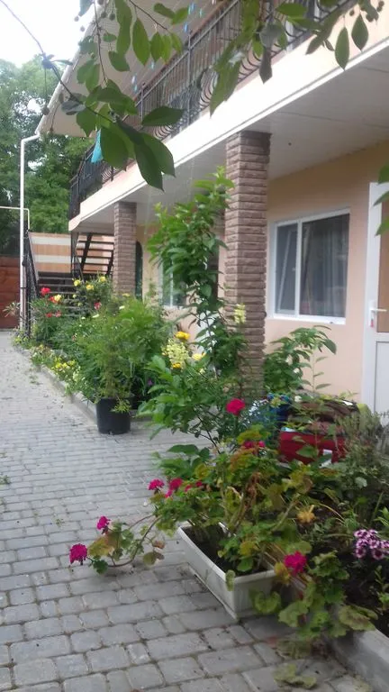 На Суворова