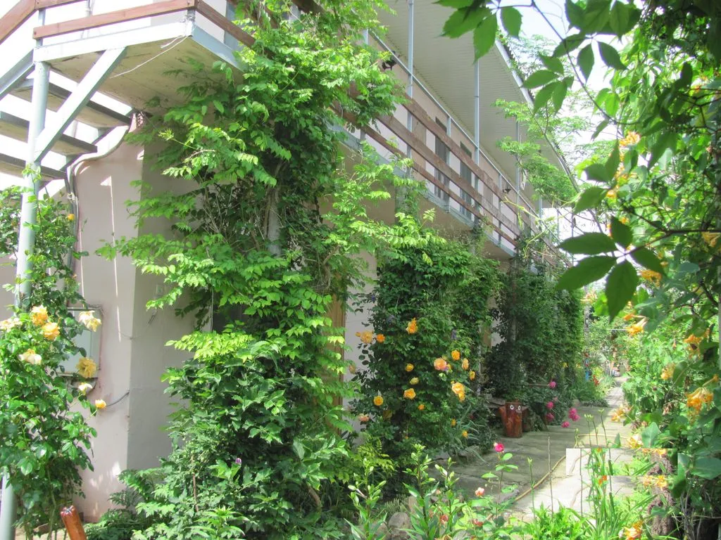 Цветочный рай