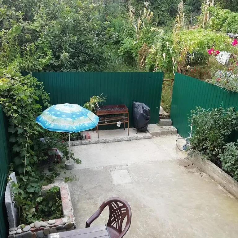 Ариша