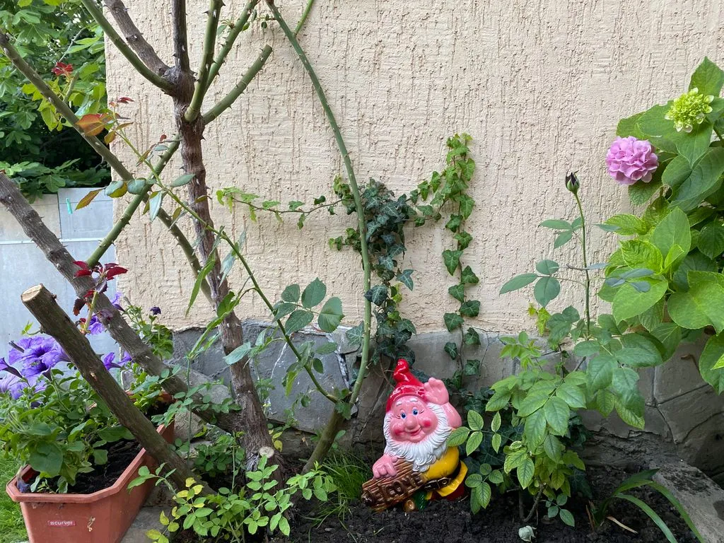 Уютный дворик