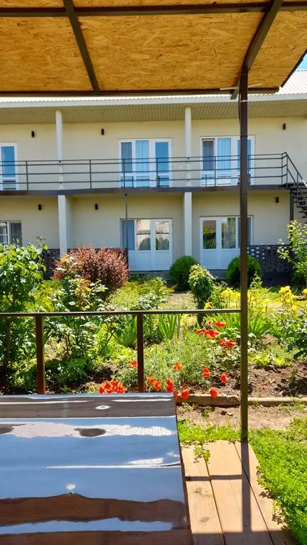 Тетушка Сова