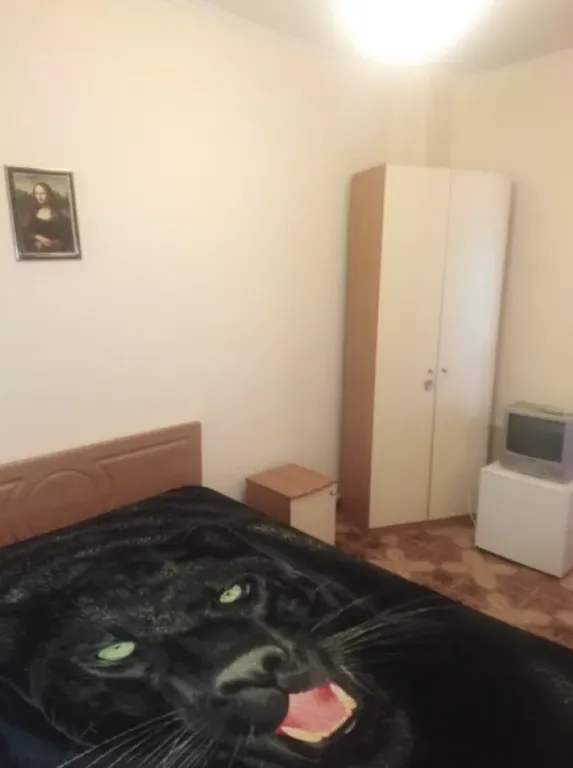 Апельсиновая Черепаха