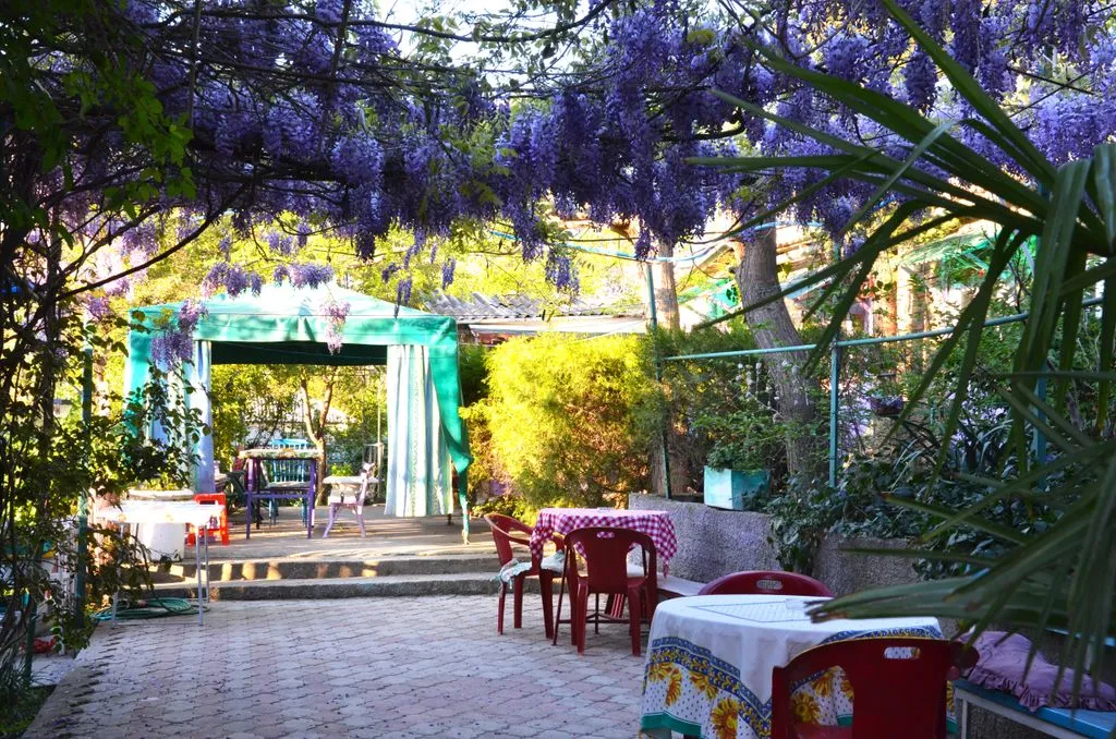 Тенистый дворик