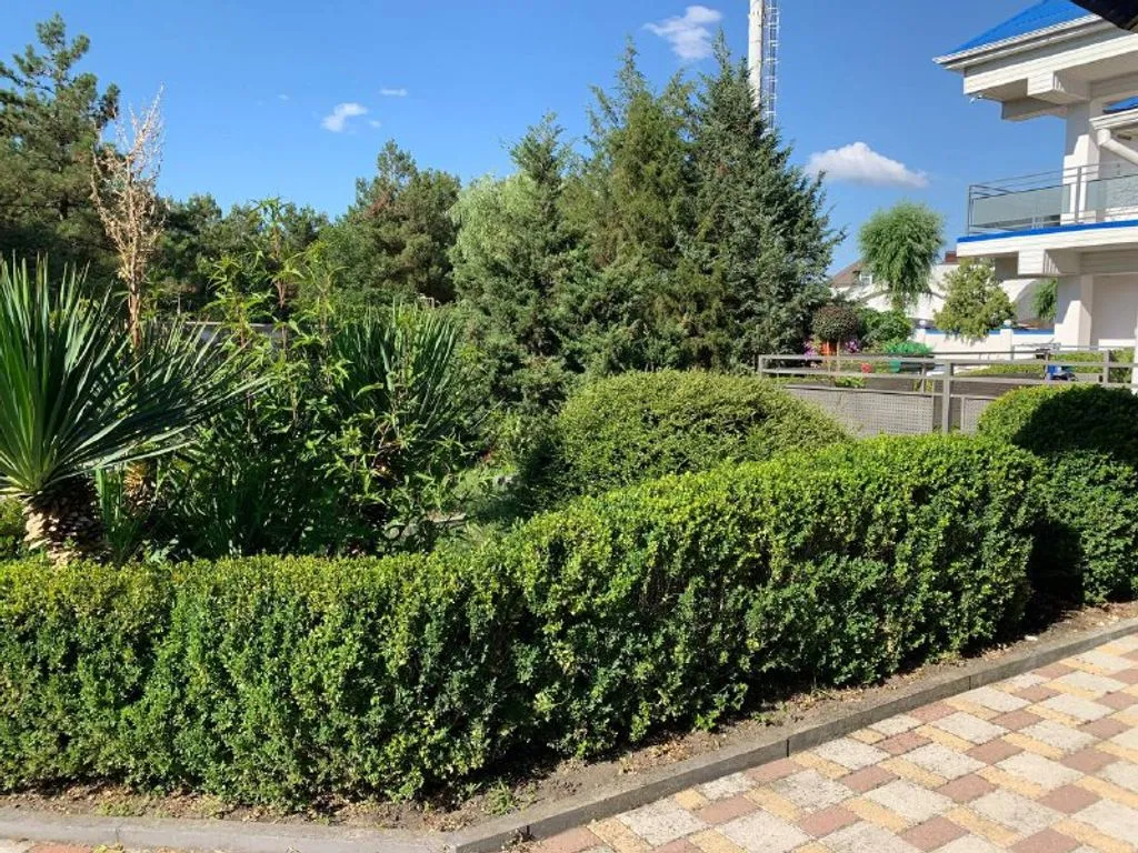 Гостевой дом «Солнечный», Анапа — фото 25