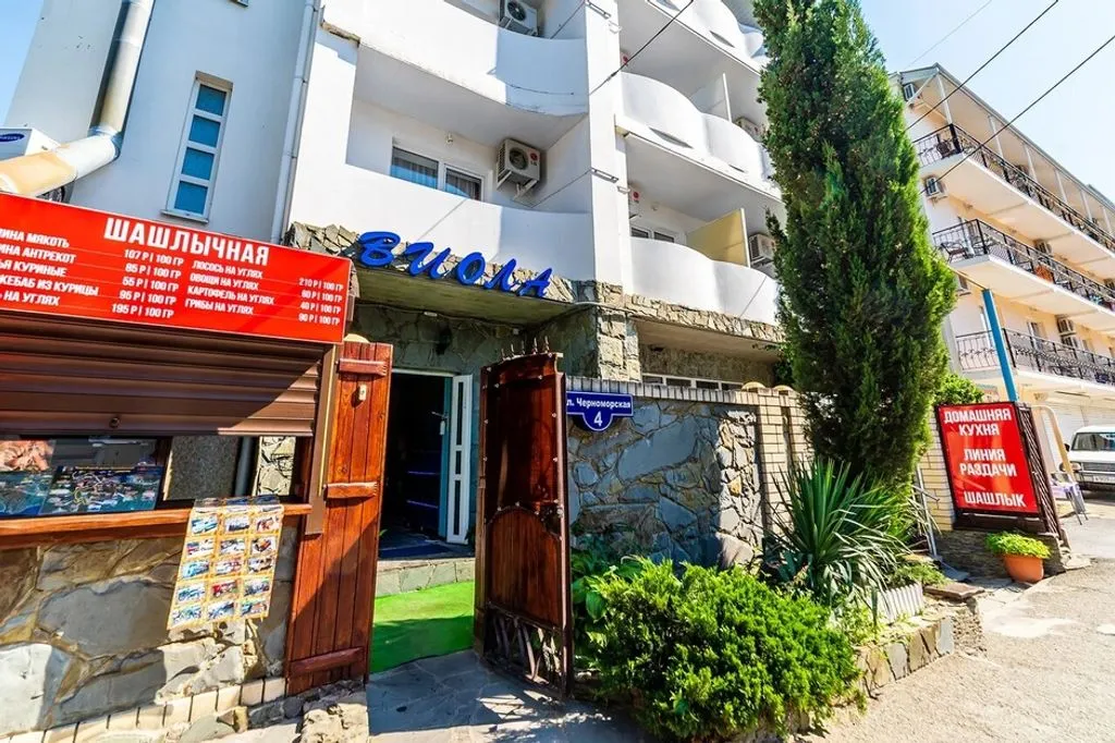 Виола
