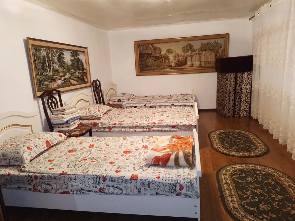 У двойняшки