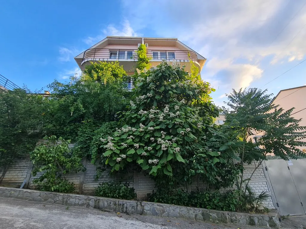 Южный Домик