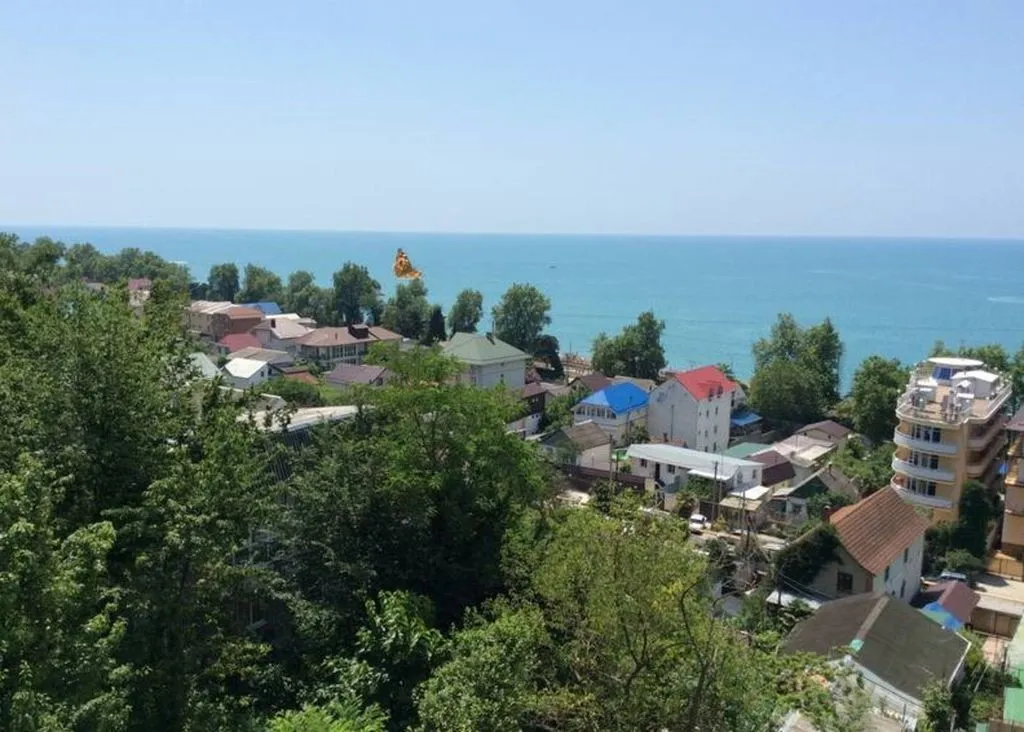 Сосновый Бор