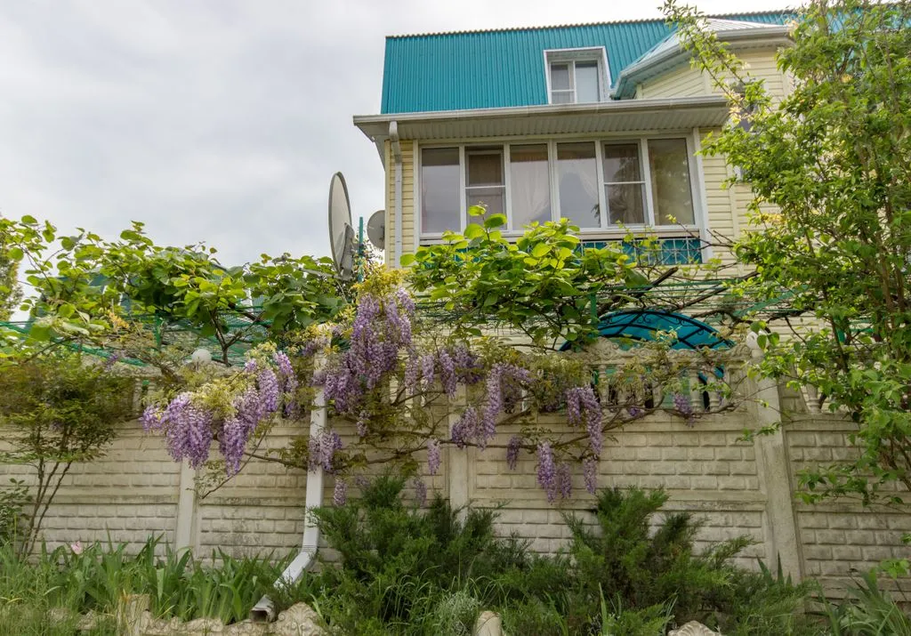 Солнечный край