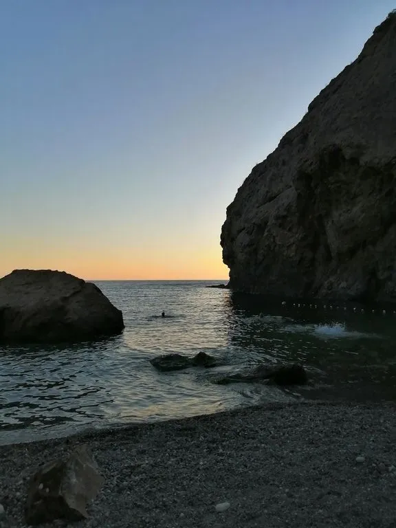 ТСН Фиолент