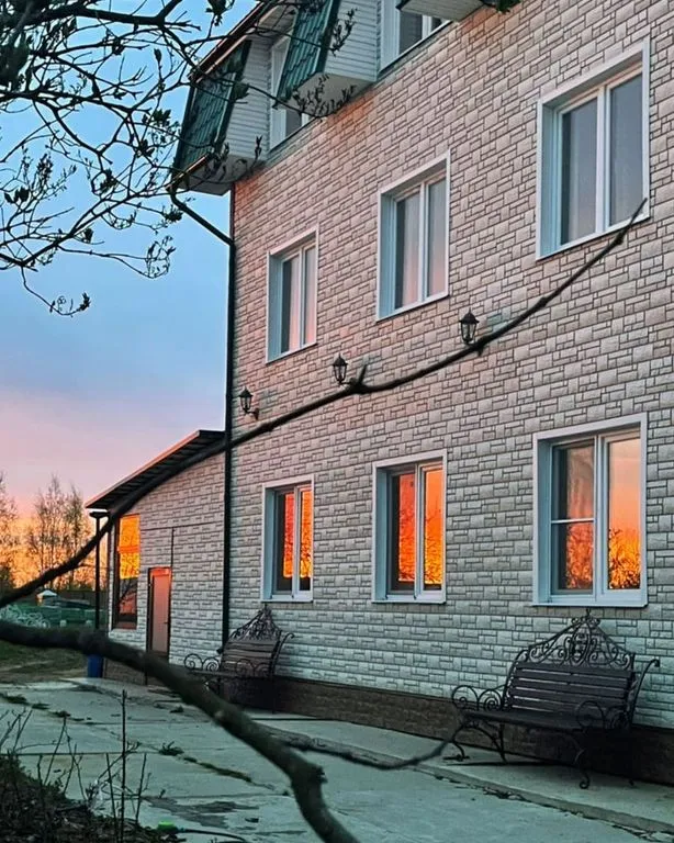 Сова в Шереметьево