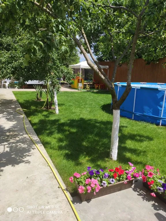 У Шараповых