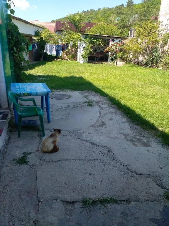 Студенческий