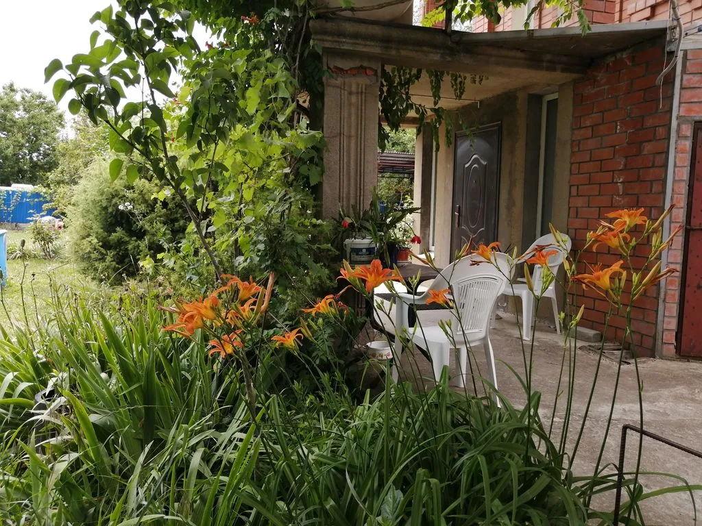 Южная долина