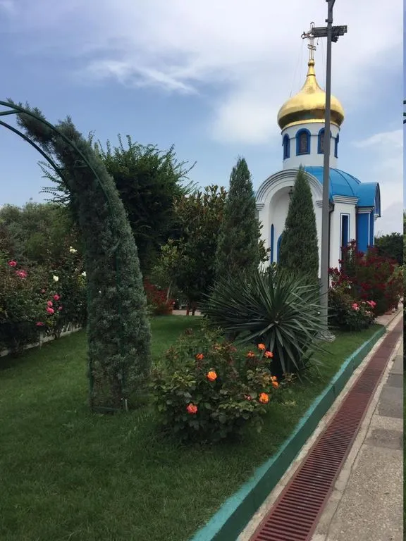 Объект «Два дельфина», Орловка — фото 5