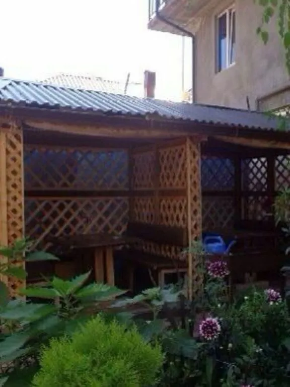 Объект «Акула», Адлер — фото 11