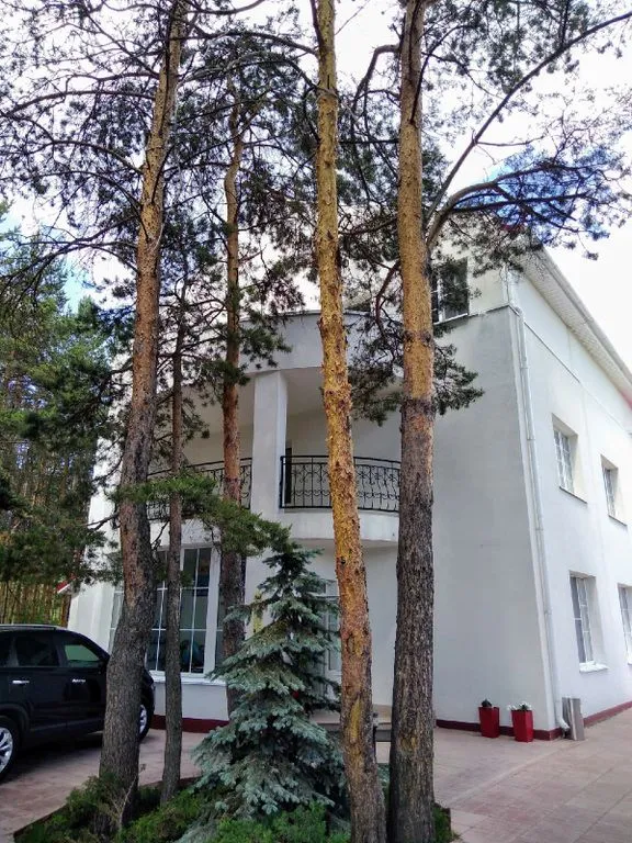 Усадьба Еловое