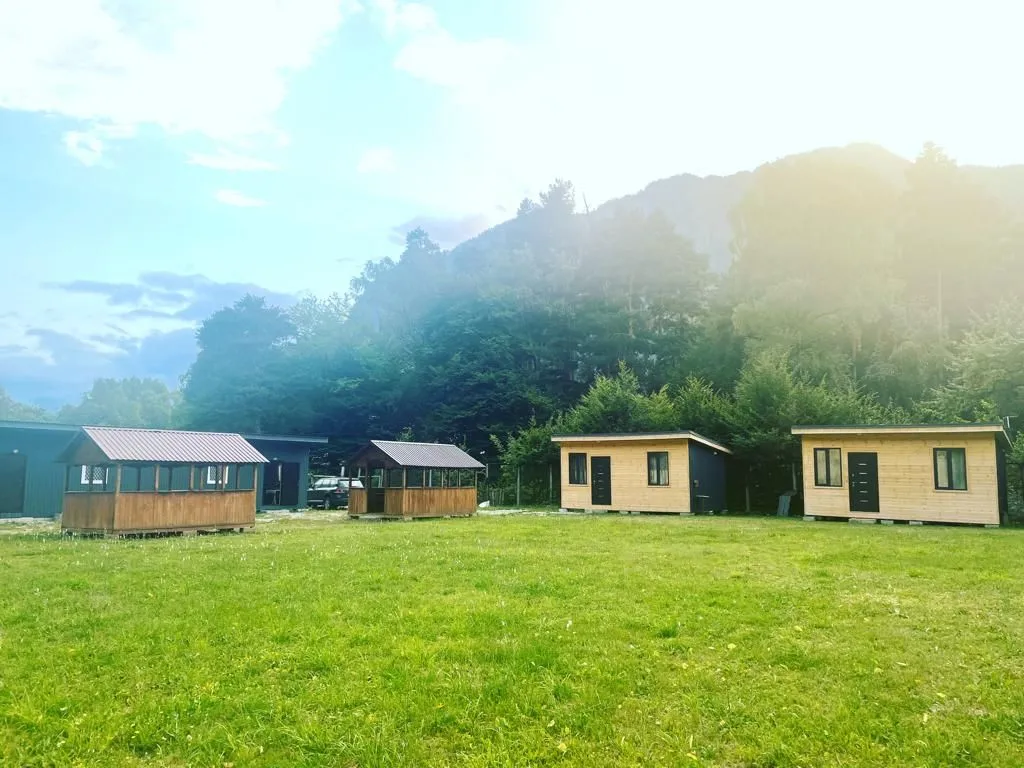 Сосновый рай