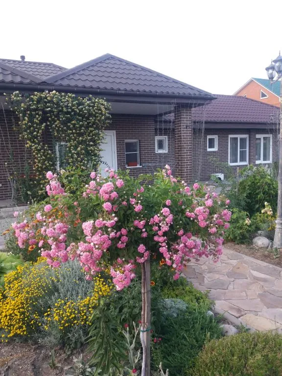 Южный Дворик